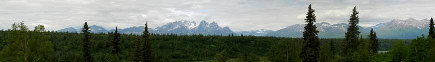 A senic view of a mountain in Denali National Park