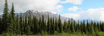 A senic view of a mountain in Denali National Park